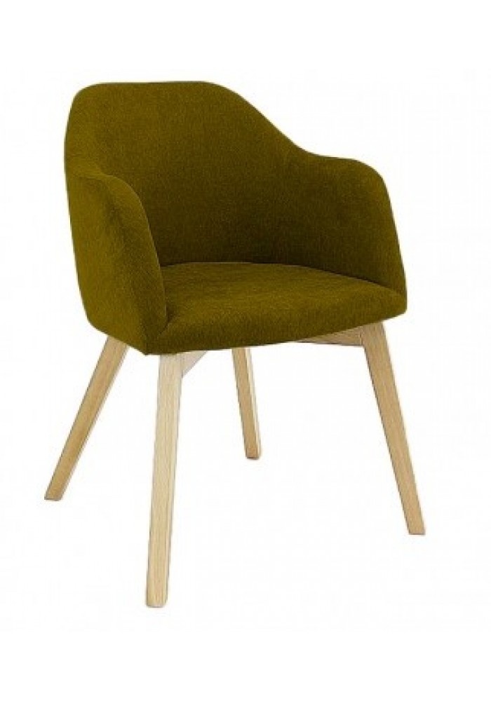 Fauteuil Theos groen