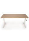 VDB traploos verstelbaar bureautafel dmv slinger 120 x80|VDB Kantoortotaal